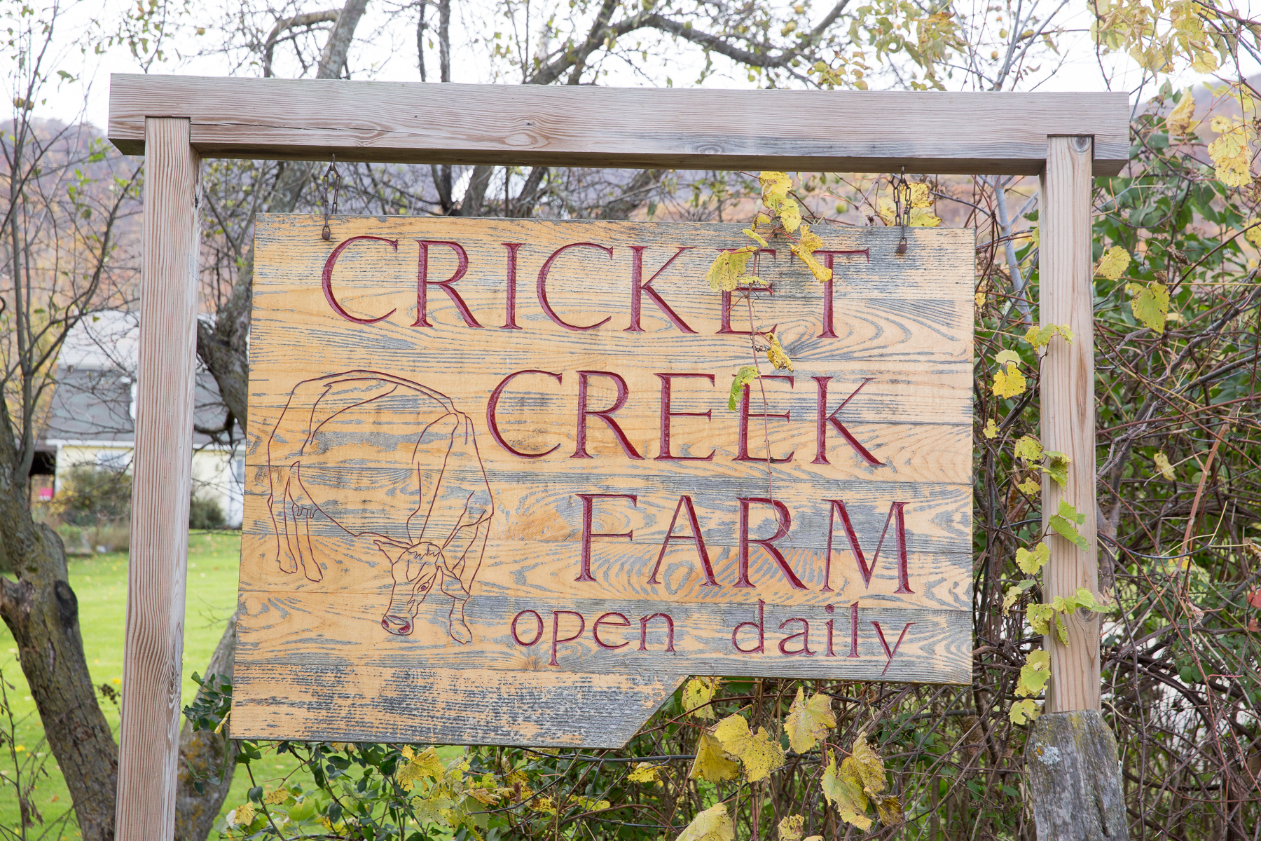 cricket creek farm