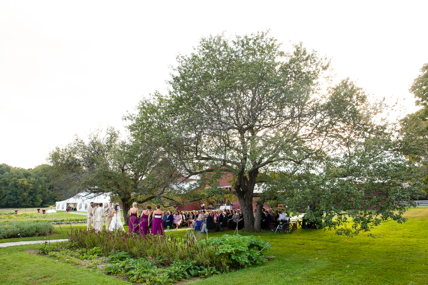 wedding ceremony under apple trees at hancock shaker village