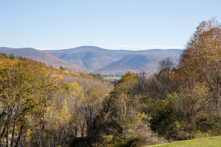 the view from the porch at the brookman estate